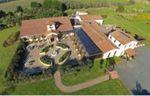 Unbelievable opportunity to own a Tuscan Vineyard