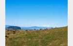 Kiwi land with 360 degree views