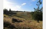 BUILD YOUR DREAM HOME - GILLIGANS GULLY