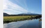 Whalefield Wow