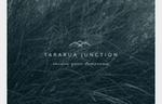 Tararua Junction - Secure Your Tomorrow