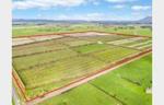 Large Variety Orchard - Ideal Location