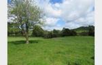 PEACEFULLY LOCATED 3.91 HECTARE BLOCK