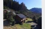 Alpine Forest Retreat