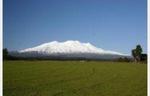 Stunning Alpine Lifestyle Block - 1.0002 ha