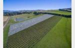 Producing Vineyard, Superb Lifestyle Opportunity