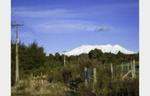 Raurimu Retreat