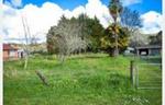 Quarter Acre Dream