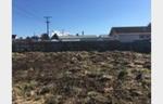 Bargain Basement in Waiouru