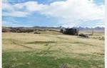Truly Central Otago