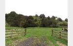 PONGAHURU ROAD 5.7 HECTARE SECTION - $140,000 + GST (if any)
