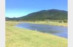 Tranquil Lake Views