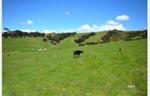 Last Quality 1.75ha Lifestyle block - Don't miss o