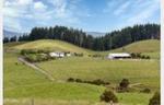 Opportunity Knocks - Significant 10.8ha Investment