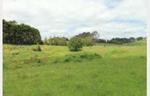 Lifestyle 3 hectares close to CBD