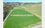 Lots 2 and 3 Te Araroa Valley Estate- Puhoi