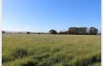 Prime Location- Larger lifestyle, run-off or subdivide - 16.8ha