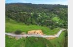 Lush Rural NZ - 15 Minutes from Albany